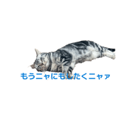 858031379