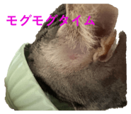 858031380