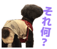 858031520