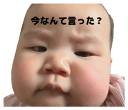 858031611