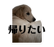 858032641