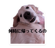 858032642
