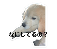 858032643