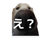 858032645