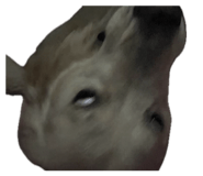 858032654