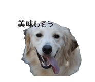 858032655