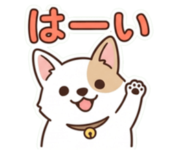 858033044