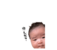 858034034
