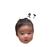 858034038