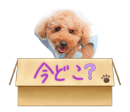 858034283