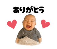 858034290