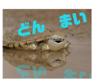 858034330