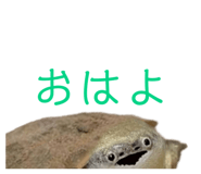 858034332