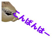 858034334