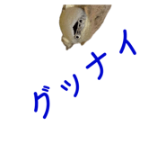 858034335