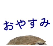 858034337