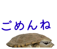 858034339