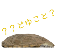 858034340