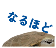 858034341