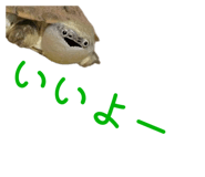 858034342