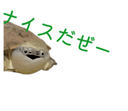 858034343