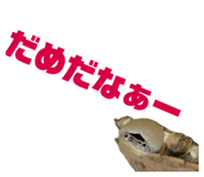 858034344
