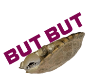 858034345