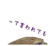 858034346