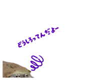 858034347