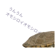 858034348