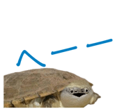 858034349