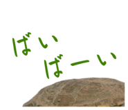 858034350