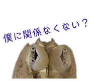 858034351