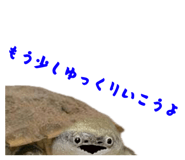858034354
