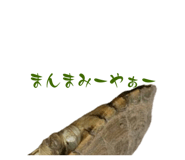 858034355
