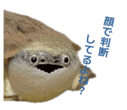 858034356