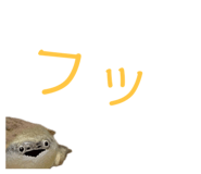 858034358