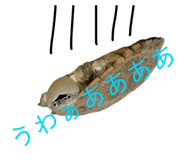 858034359