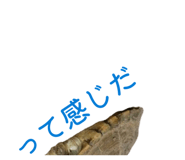 858034360