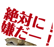 858034361