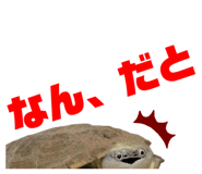 858034363