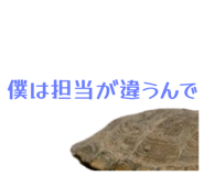 858034364