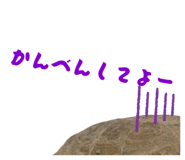 858034365