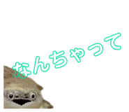 858034366