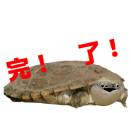 858034368