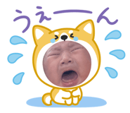 858034406