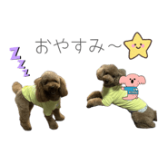 858034915
