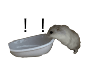 858035711