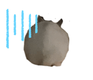 858035841