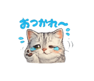 858035907
